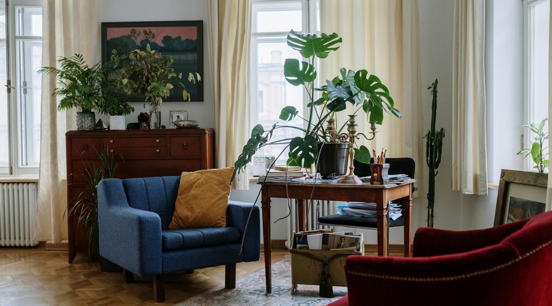 A minimalist and plant-filled living room, demonstrating how to enrich cat's life without the clutter