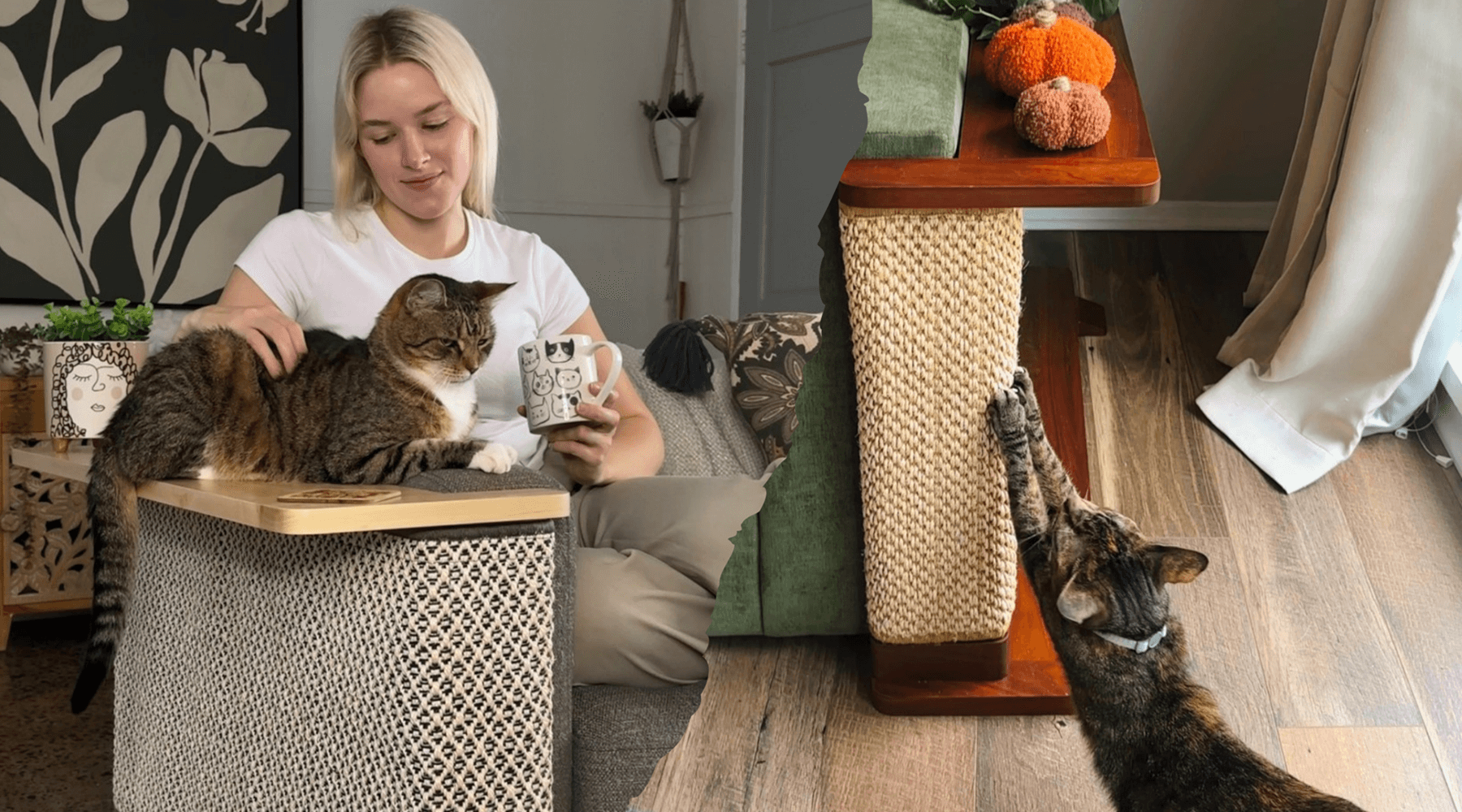A split image shows a woman petting her cat on a Cat-e-Corner and another cat using a minimalist cat scratcher, a minimalist cat product for 2026